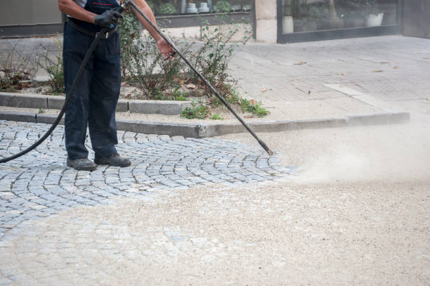 Best Patio and Deck Pressure Washing  in Menonee, MI