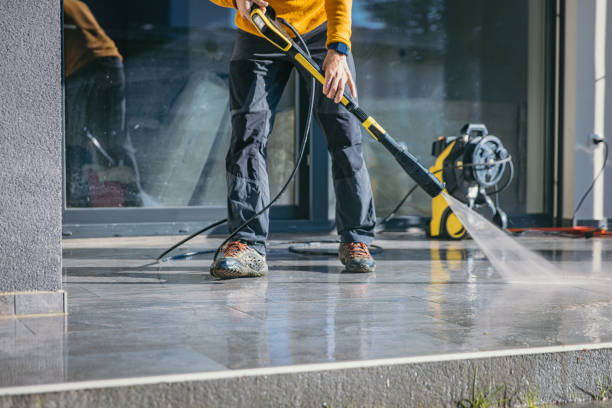 Best Solar Panel Cleaning  in Menonee, MI